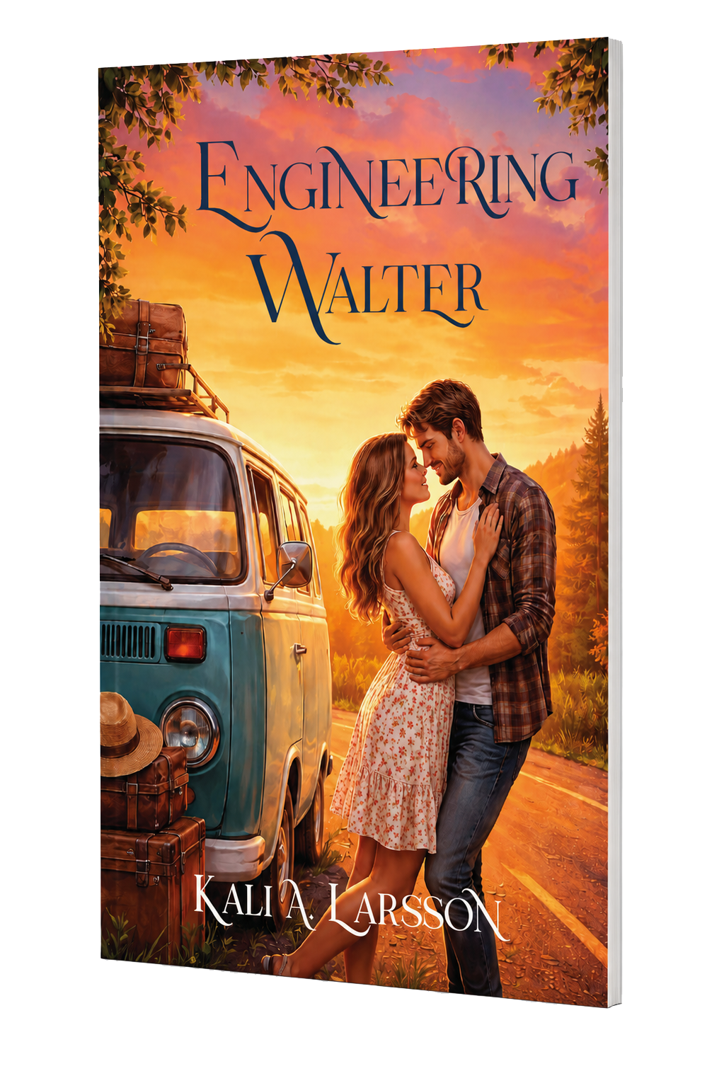 Engineering Walter — paperback