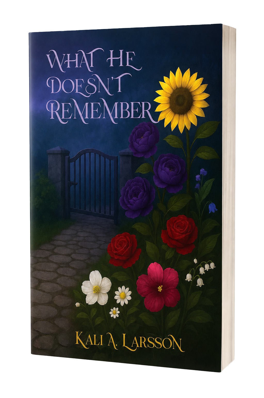 What He Doesn't Remember — paperback