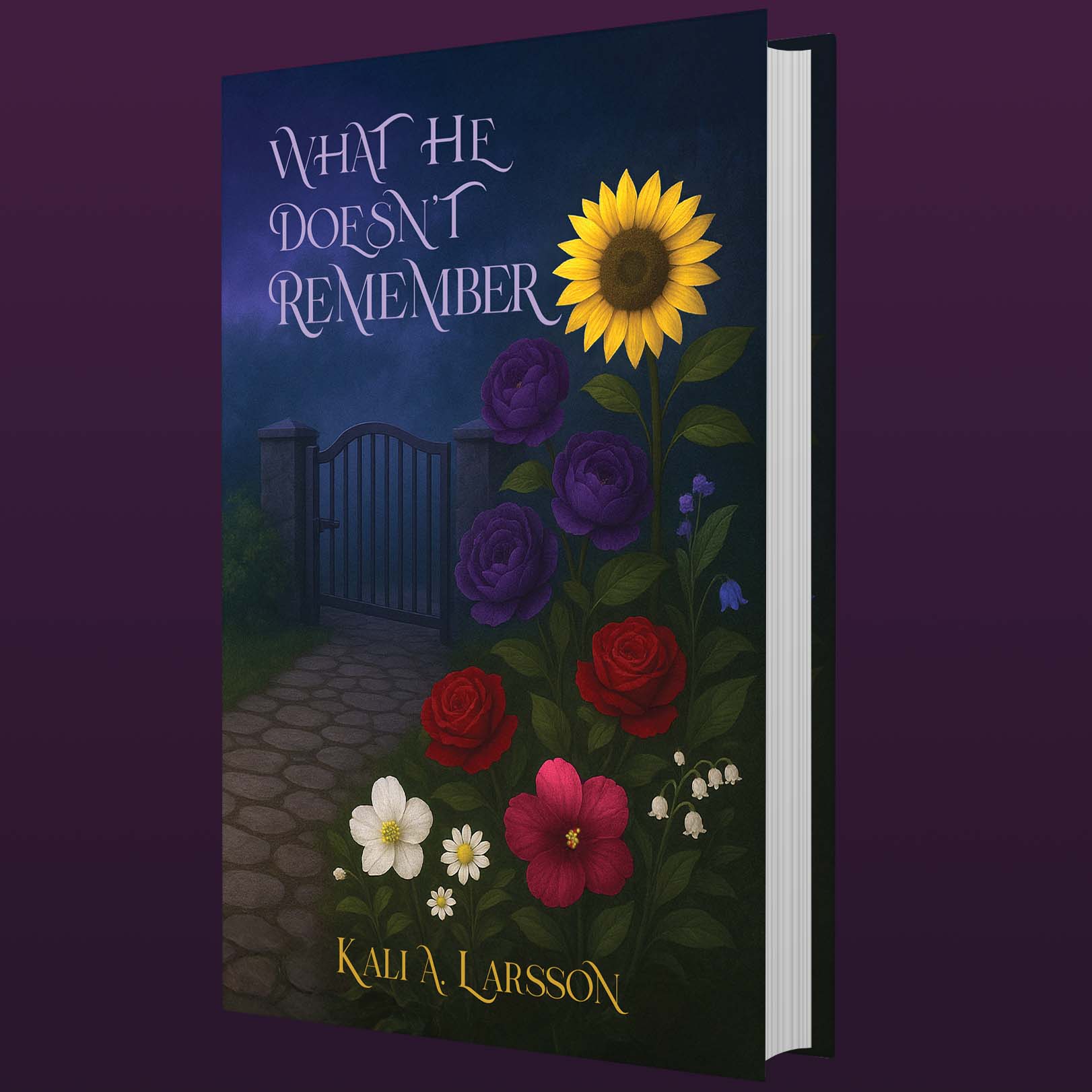 Book cover: What He Doesn’t Remember